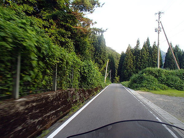 徐々に道は細くなる